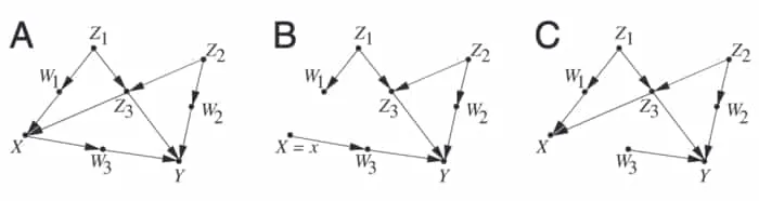 BCII 2020 FIg2