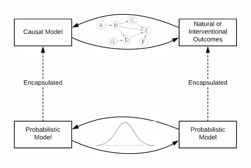CausalProbabilityModels