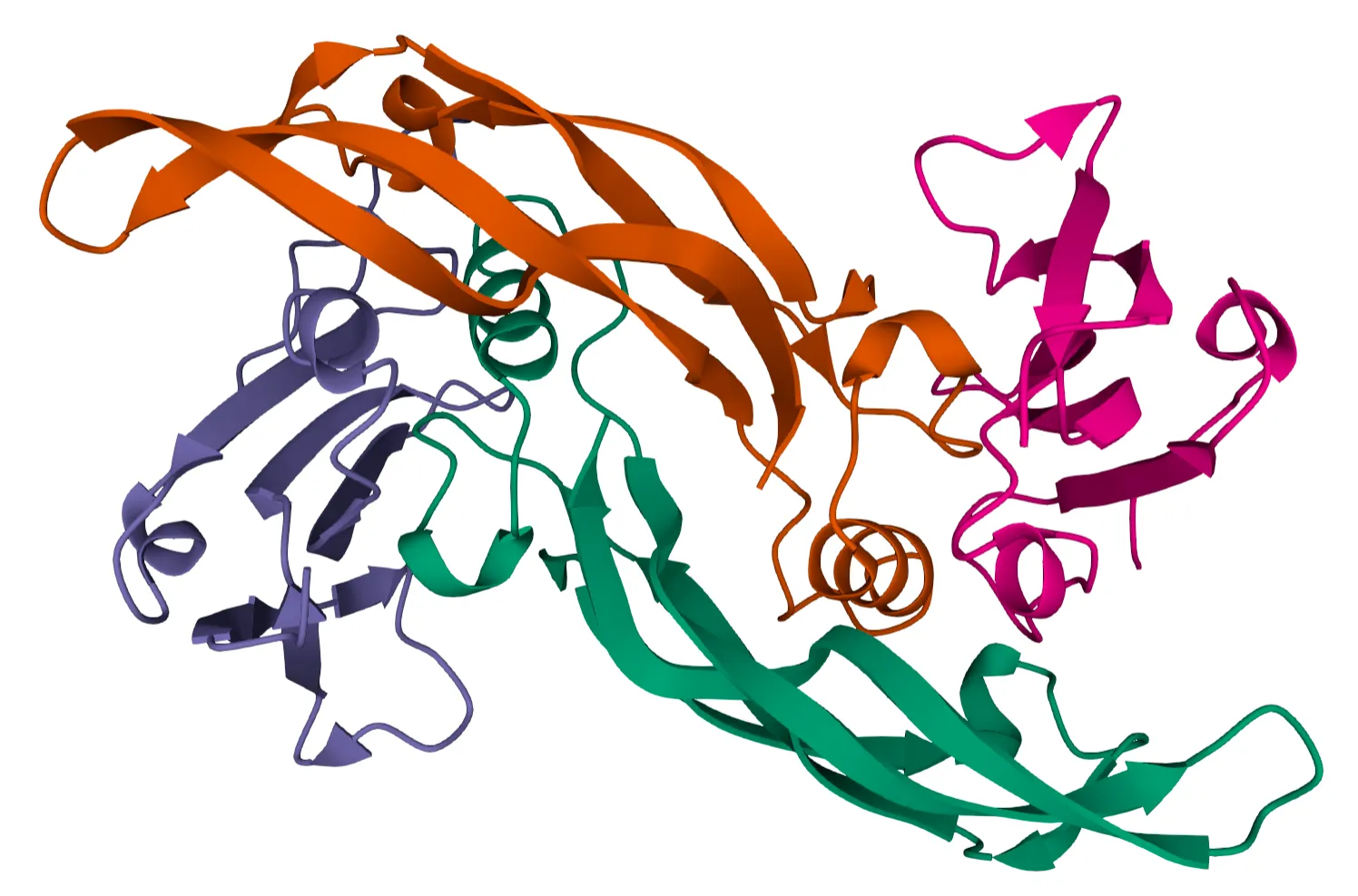 Predicting Protein Function with DeepChain