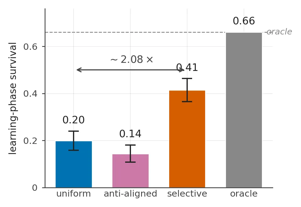 Where Should an Agent Direct Its Interoceptive Attention?