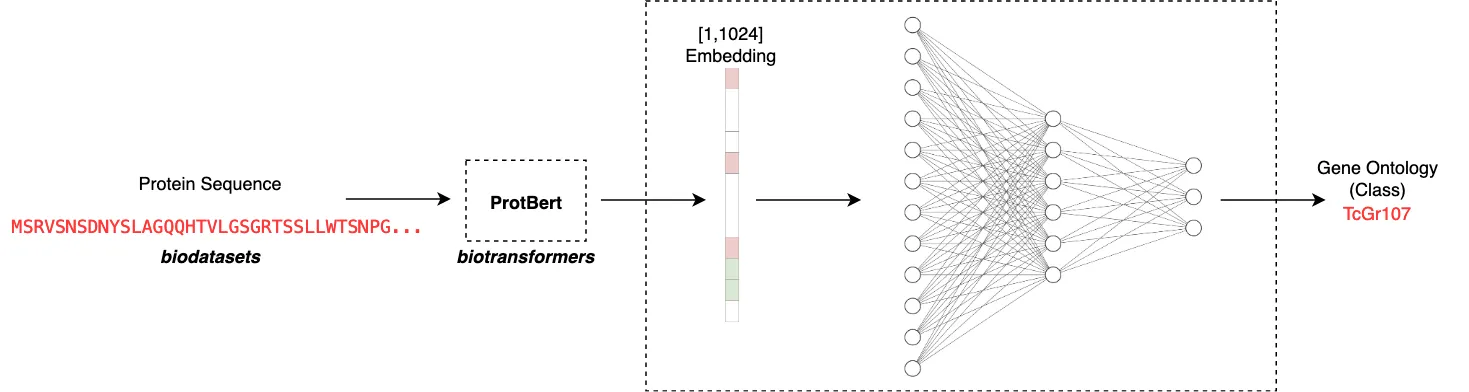 Protein Function Prediction Model